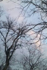 december-2024.jpg December 2024