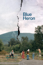 Blue Heron,