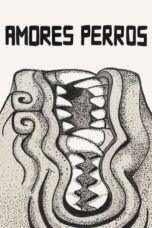 Amores perros,