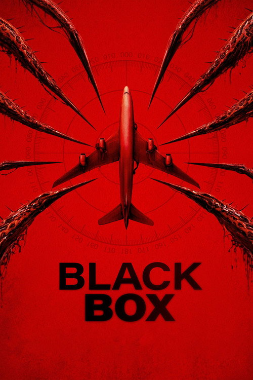 Dim Box: Vuelo 298