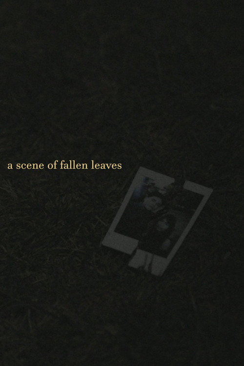 a scene of fallen leaves